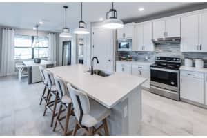 16407 SAPPHIRE POINT DRIVE, LAKEWOOD RANCH, FL 34211 - MLS#MFRTB8396850