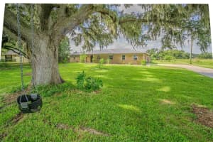 3505 MEDULLA ROAD, PLANT CITY, FL 33566 Sold 12/01/25