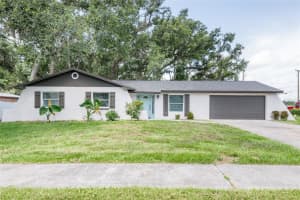 1008 Shangri La Dr, SEFFNER