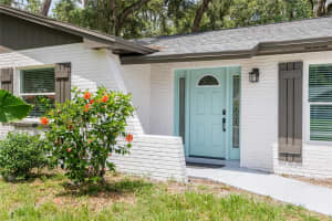 1008 SHANGRI LA DRIVE, SEFFNER, FL 33584 - MLS#MFRTB8396905