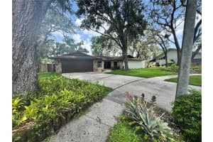 2102 Doefield Ct, VALRICO