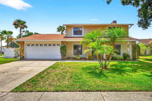 15925 Marshfield Dr, TAMPA