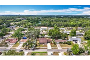 7206 TIMBER COURT, TAMPA, FL 33625 Sold 08/28/25