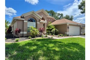 28826 Windover St, WESLEY CHAPEL