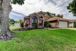 28826 WINDOVER STREET, WESLEY CHAPEL, FL 33545 - MLS#MFRTB8396987