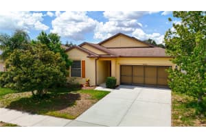 15682 STONE HOUSE DRIVE, BROOKSVILLE, FL 34604 - MLS#MFRTB8397000
