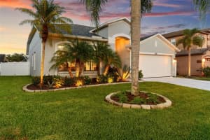 1631 SHADY OAKS DRIVE, OLDSMAR, FL 34677 - MLS#MFRTB8397085