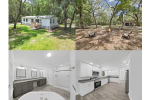 19494 PHILLIPS ROAD, BROOKSVILLE, FL 34604 - MLS#MFRTB8397096