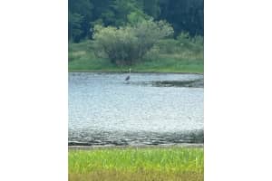 PALOMINO LAKES DR, DADE CITY, FL 33523 Sold 12/15/25