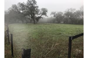 PALOMINO LAKES DR, DADE CITY, FL 33523 Sold 12/15/25