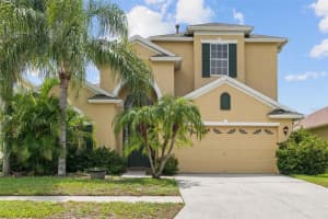 3013 Silvermill Loop #o, LAND O LAKES