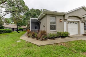 3147 BROOKER CREEK WAY, PALM HARBOR, FL 34685 - MLS#MFRTB8397136