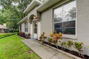 3147 BROOKER CREEK WAY, PALM HARBOR, FL 34685 - MLS#MFRTB8397136