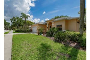 2406 DANA DRIVE, SAFETY HARBOR, FL 34695 - MLS#MFRTB8397163