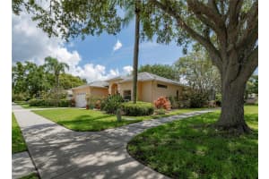 2406 DANA DRIVE, SAFETY HARBOR, FL 34695 - MLS#MFRTB8397163