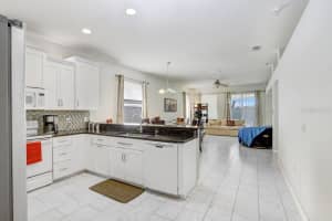 30247 EMMETTS COURT, WESLEY CHAPEL, FL 33543 - MLS#MFRTB8397175