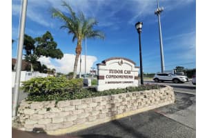 9114 TUDOR DR #L207, TAMPA, FL 33615 - MLS#MFRTB8397178