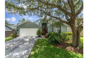 18930 Wood Sage Dr, TAMPA