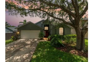 18930 WOOD SAGE DRIVE, TAMPA, FL 33647 - MLS#MFRTB8397181