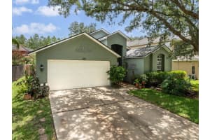 18930 WOOD SAGE DRIVE, TAMPA, FL 33647 - MLS#MFRTB8397181