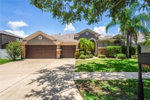 12801 Stanwyck Cir, TAMPA