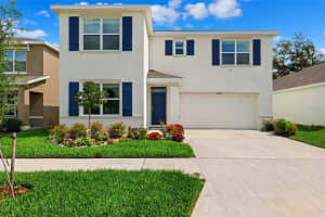 33657 FIELD MAPLE LOOP, WESLEY CHAPEL, FL 33545 - MLS#MFRTB8397205