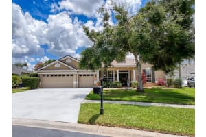 22925 Collridge Dr, LAND O LAKES