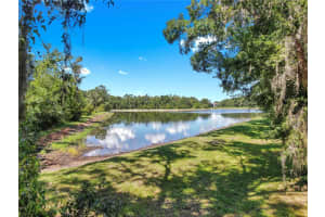 1753 RANCHETTE ROAD, ZEPHYRHILLS, FL 33543 - MLS#MFRTB8397250