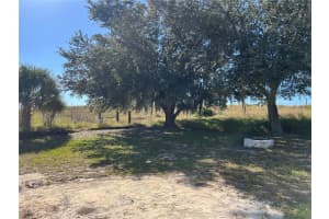 103 THORNBUSH PARKWAY, DAVENPORT, FL 33837 - MLS#MFRTB8397288