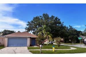 11022 Connacht Way, TAMPA