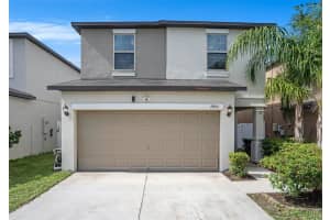 7405 French Marigold Ave, TAMPA