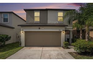 7405 FRENCH MARIGOLD AVENUE, TAMPA, FL 33619 - MLS#MFRTB8397305