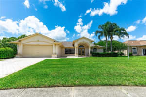 14096 PULLMAN DRIVE, SPRING HILL, FL 34609 Sold 08/08/25
