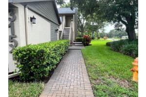 3151 Landmark Dr #115, CLEARWATER