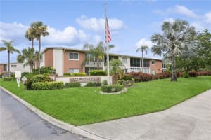 4510 OVERLOOK DRIVE, ST PETERSBURG, FL 33703 - MLS#MFRTB8397353