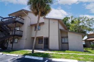 6338 NEWTOWN CIRCLE, TAMPA, FL 33615 - MLS#MFRTB8397354