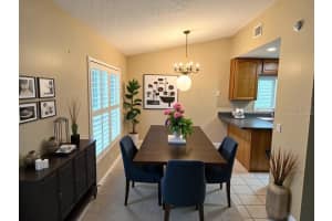 6814 GABRIELLE STREET, TAMPA, FL 33611 - MLS#MFRTB8397358