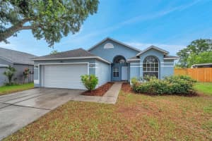243 Chardonnay Pl, VALRICO