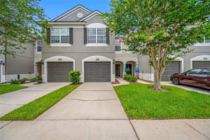 10208 WESTPARK PRESERVE BOULEVARD, TAMPA, FL 33625 - MLS#MFRTB8397366