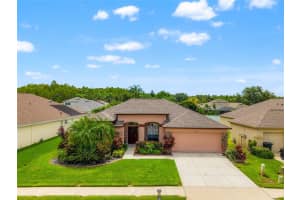 3246 Brenford Pl, LAND O LAKES