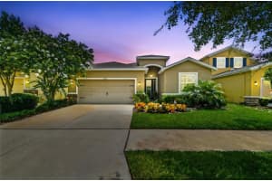6467 Seasound Dr, APOLLO BEACH