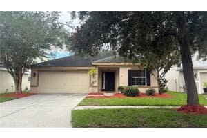 20050 Nob Oak Ave, TAMPA