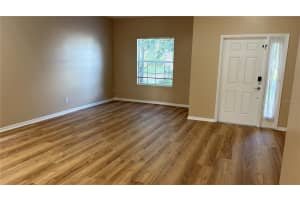 20050 NOB OAK AVENUE, TAMPA, FL 33647 - MLS#MFRTB8397500