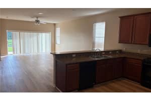20050 NOB OAK AVENUE, TAMPA, FL 33647 - MLS#MFRTB8397500