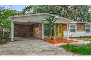 307 FERN CLIFF AVENUE, TEMPLE TERRACE, FL 33617 - MLS#MFRTB8397510
