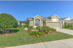 5046 Gato Del Sol Cir, WESLEY CHAPEL