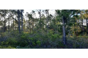 910 GRANADA DRIVE, INDIAN LAKE ESTATES, FL 33855 - MLS#MFRTB8397525