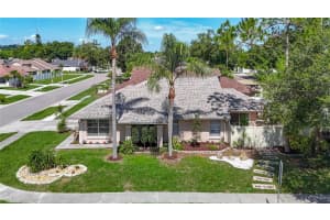 6001 Lemon Tree Ct, TAMPA