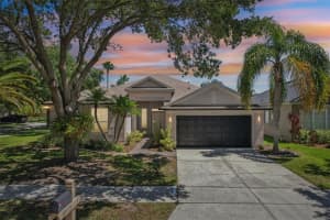 19113 Golden Cacoon Pl, LUTZ