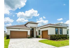 8749 Drummer Plank Dr, WESLEY CHAPEL